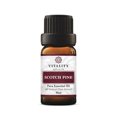 Scotch Pine