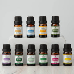 The Ultimate Essentials Bundle (10ml)