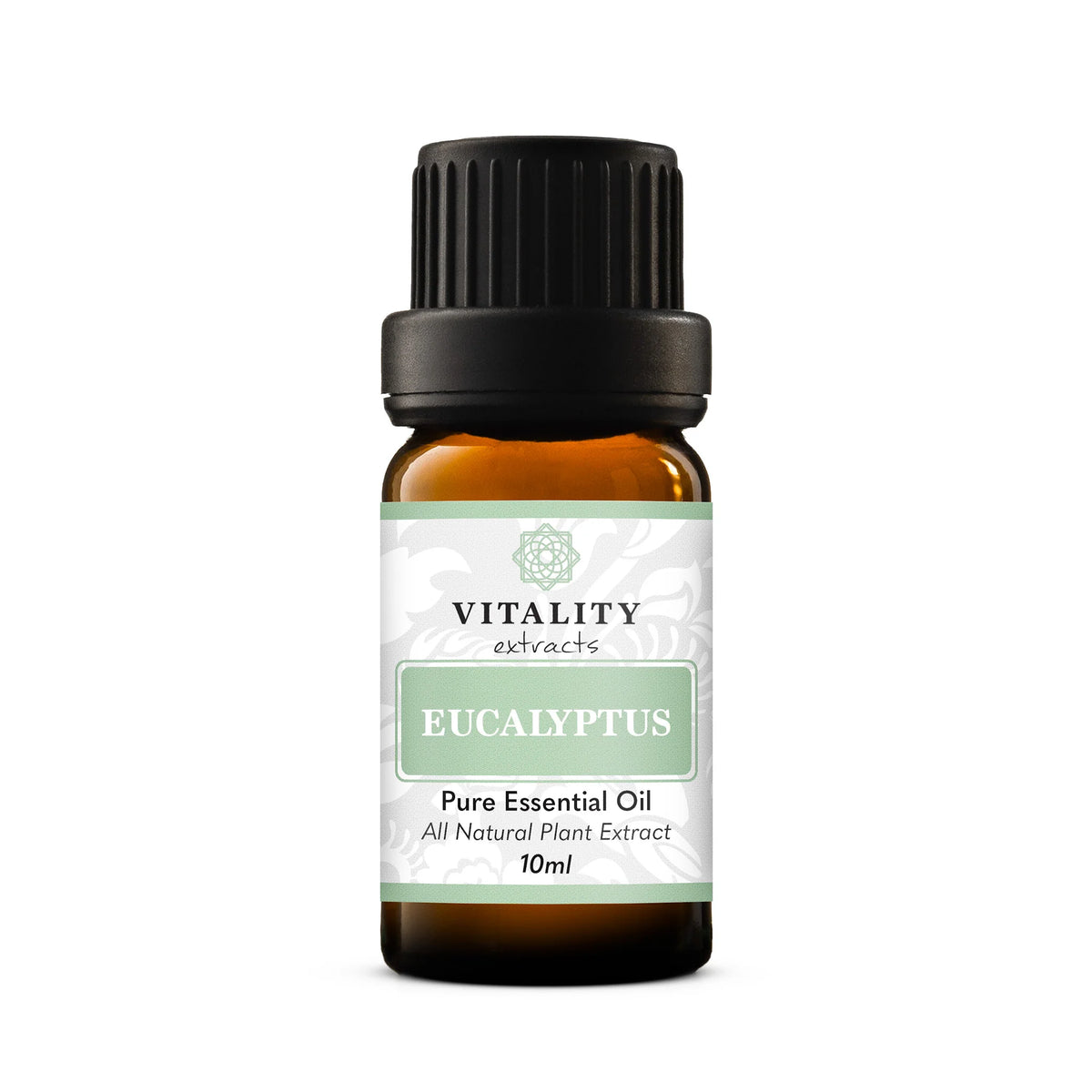 Eucalyptus