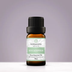 Eucalyptus